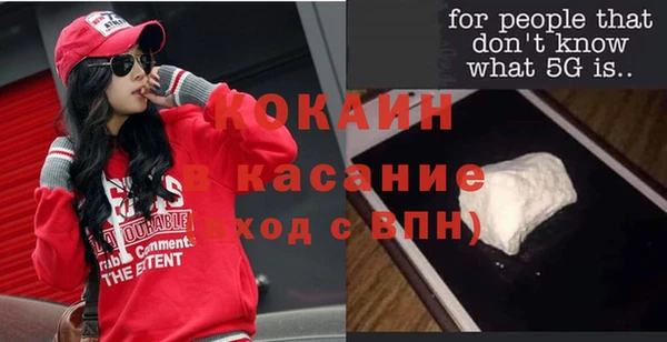 стаф Алексин