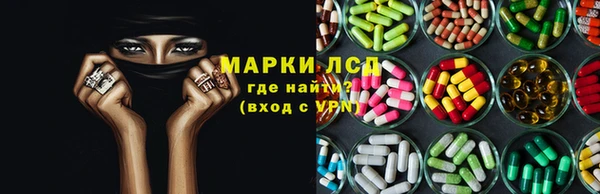стаф Алексин