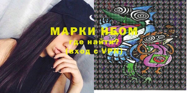 PSILOCYBIN Алзамай