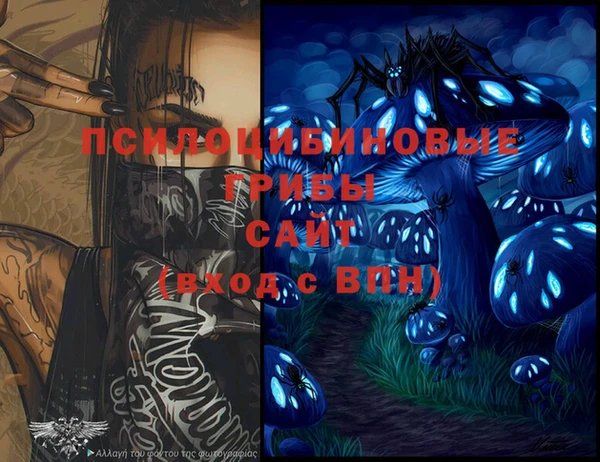 стаф Алексин