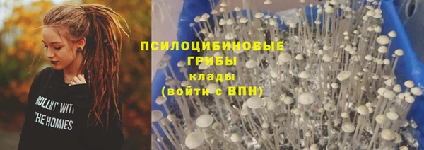 стаф Алексин