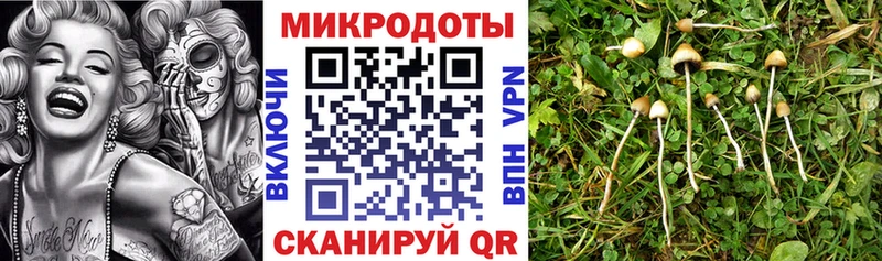 где купить   Пермь  Галлюциногенные грибы мухоморы 